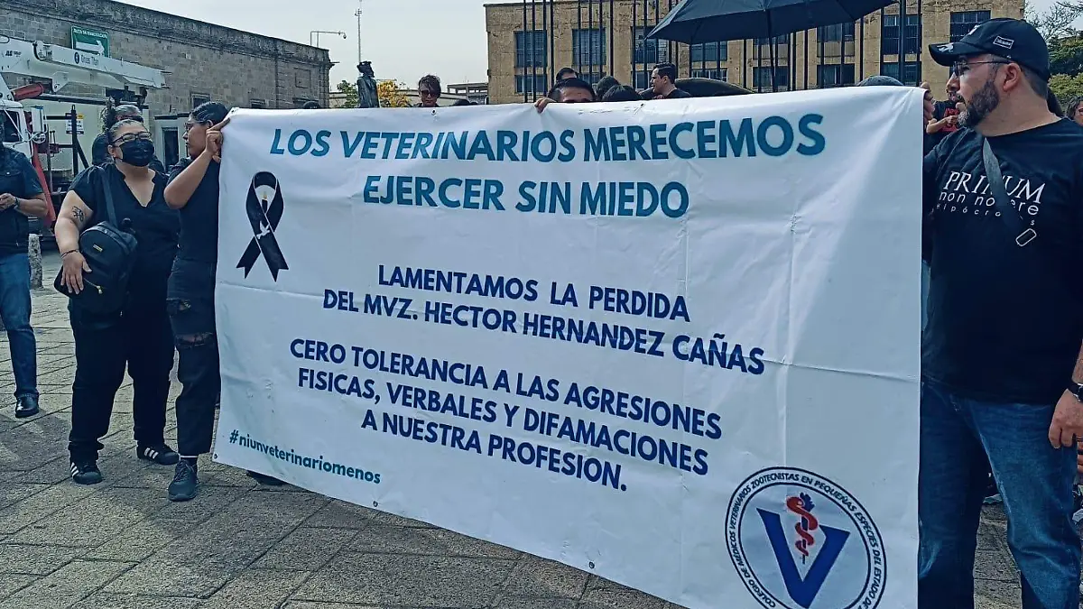 Manifestación Veterinarios IL